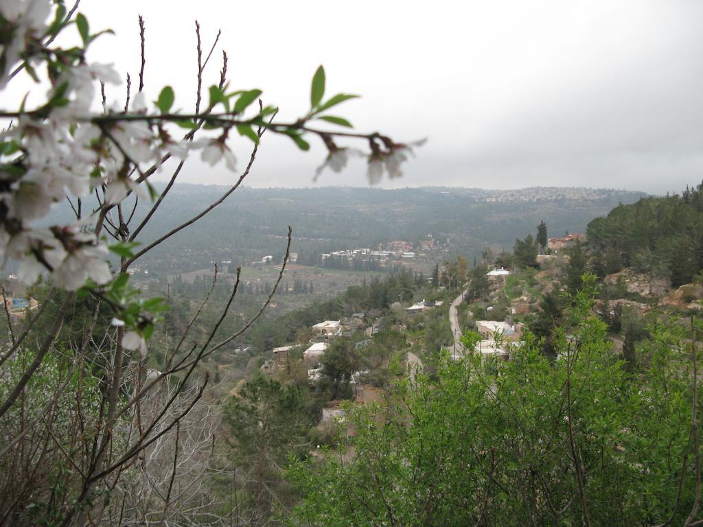 View Of The Valley Guest House Ιερουσαλήμ Εξωτερικό φωτογραφία